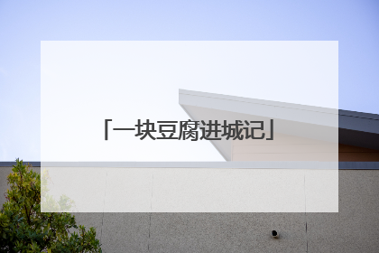 一块豆腐进城记